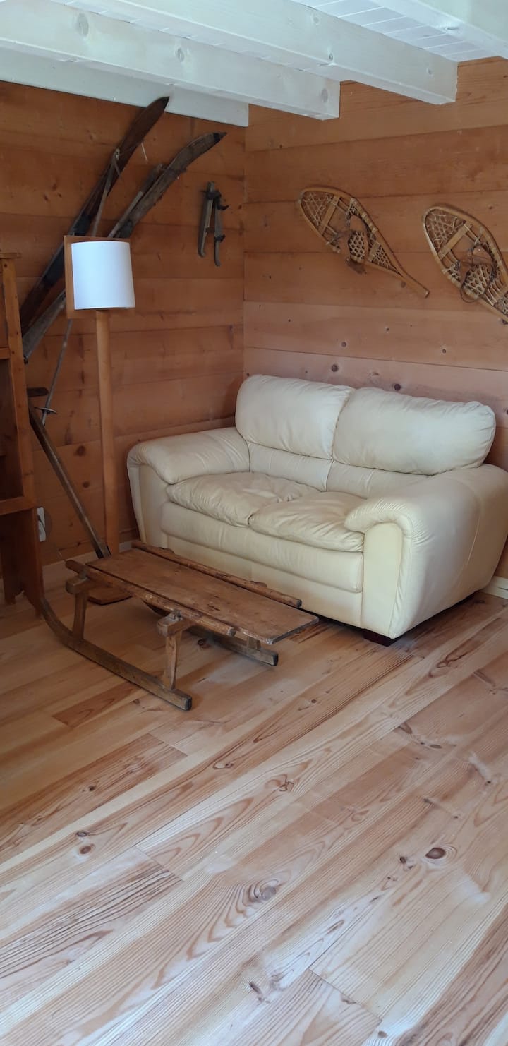 Petit Chalet En  Madrier"le Mazot" - Yvoire