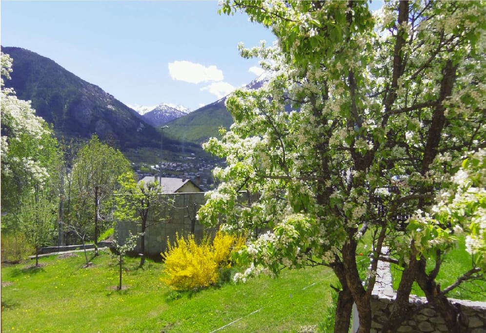 Printemps / Spring