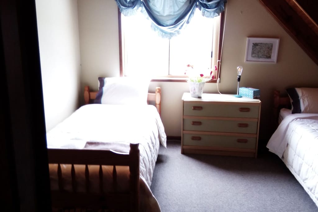 The twin room