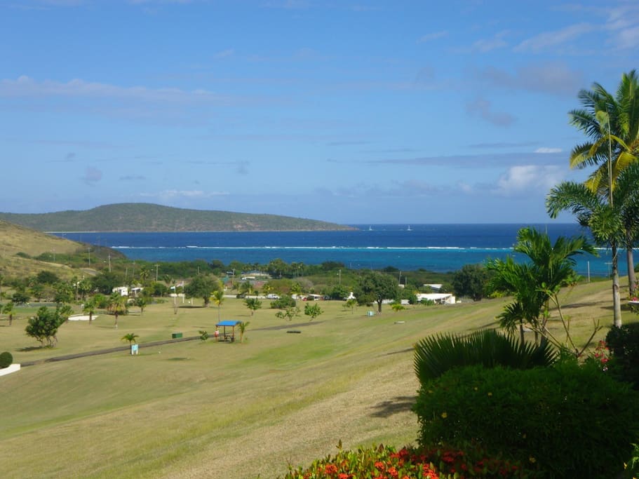 View from patio of Buck Island and Caribbean