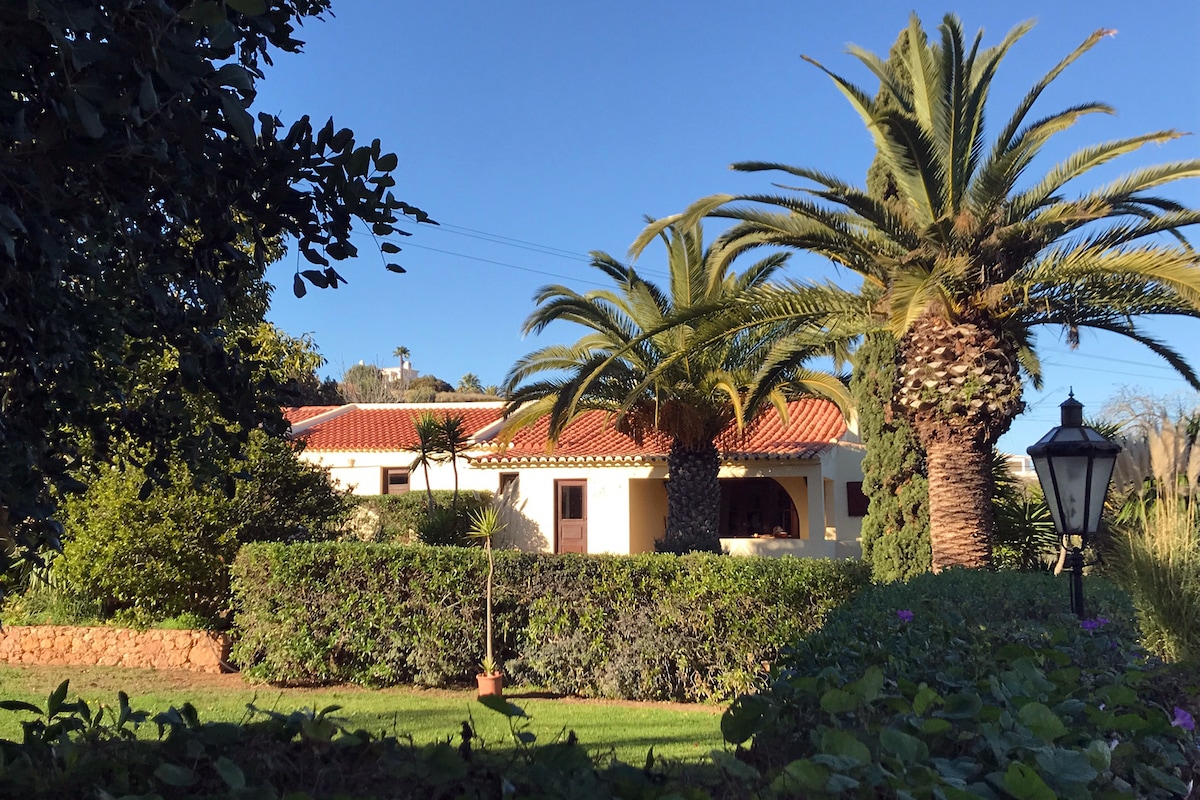 A charming bungalow is framed by lush palm trees and manicured hedges. The structure features a red-tiled roof and arched windows, reflecting traditional Portuguese architecture. Sunlight bathes the garden area, highlighting vibrant greenery and providing a serene outdoor setting.