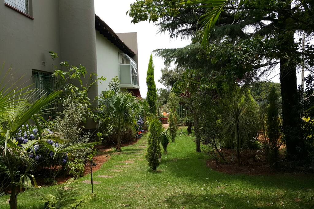 Quiet and relaxing Garden to relax in