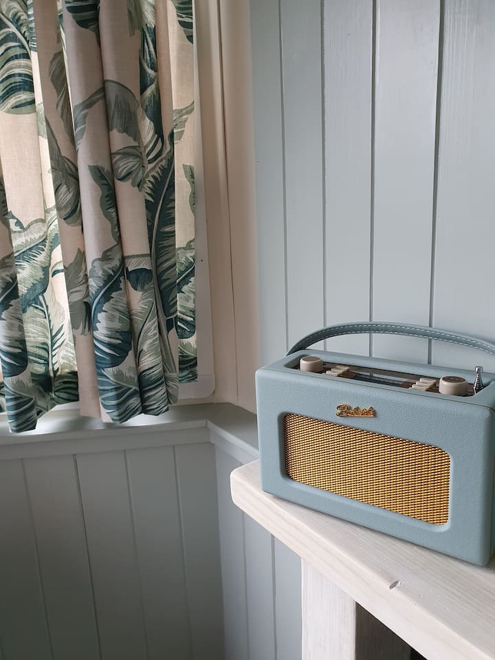 The digital Roberts radio in Scrumpy Duck