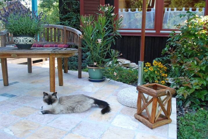 Ganesh-Garden-Appartment Nürnberg