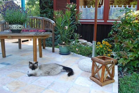 Ganesh-Garden-Appartment Nürnberg