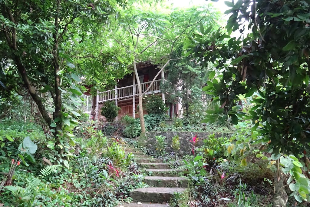 Muong Stilt House is completely surrounded by nature yet is only a 3 minute walk to the center of the resort