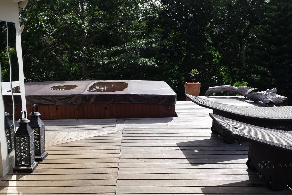 Spapool de nage 4m