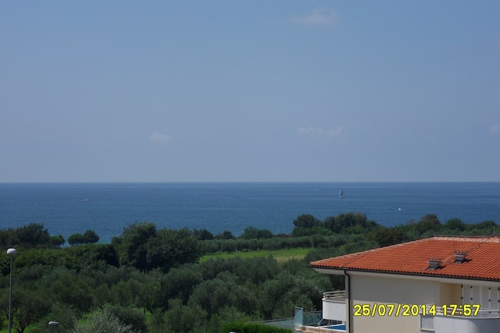 Nice Place With Pool - Savudrija