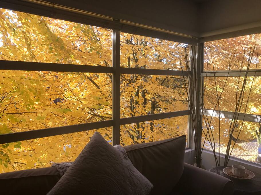 Living room window