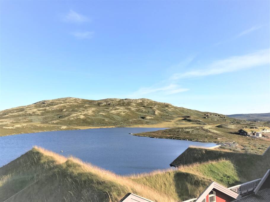 Mektig natur rett utenfor vinduet
