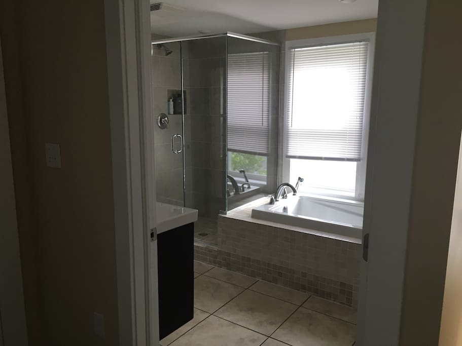 Glass shower and large soaking tub