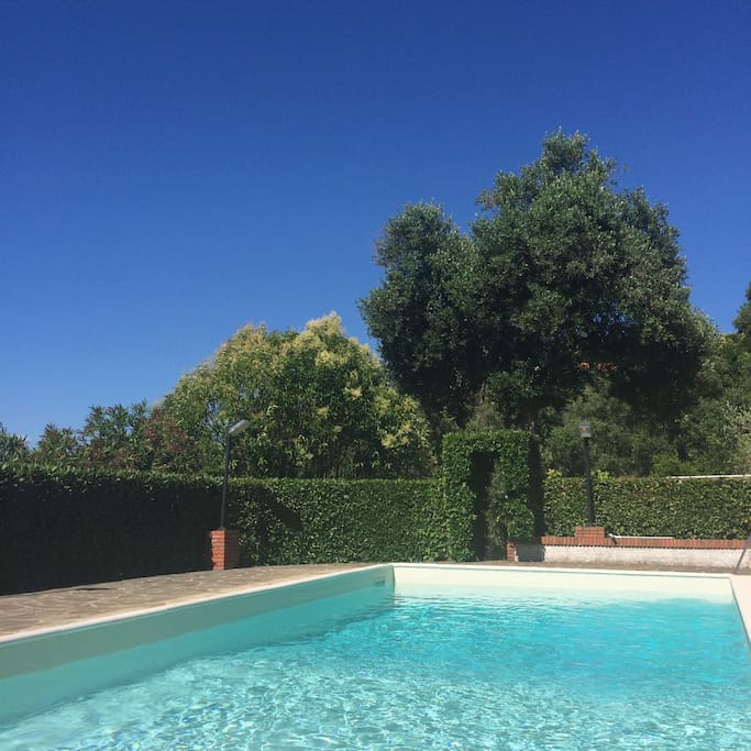 pool in the summer