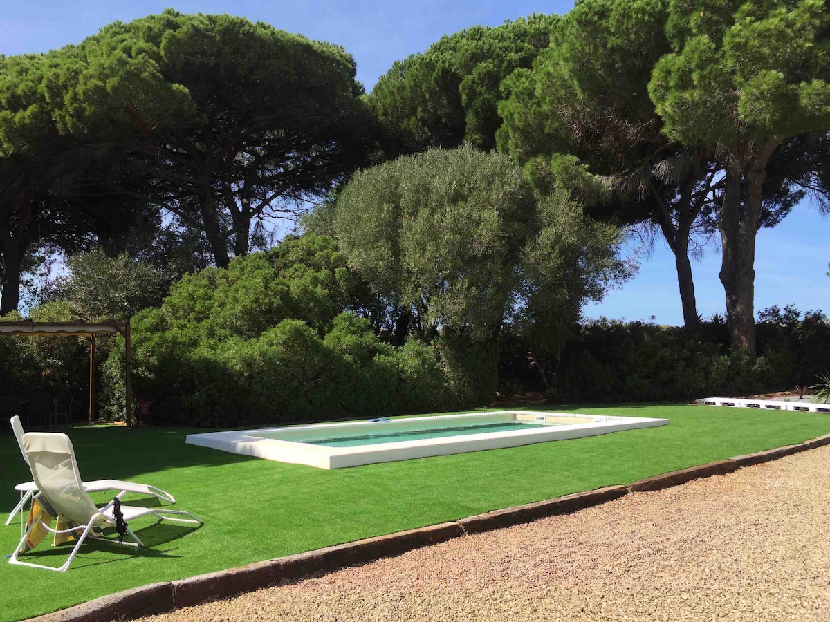 A serene outdoor area is shown with a salt-water pool surrounded by lush greenery. Comfortable sun loungers are positioned on manicured grass. Towering pine trees provide natural shade, contributing to a peaceful ambiance in this spacious garden.