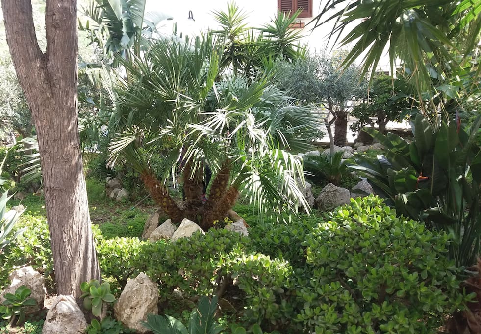 Grande giardino privato (vista mare)