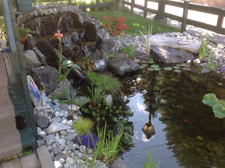 Jardin d'eau à l'avant de la maison.