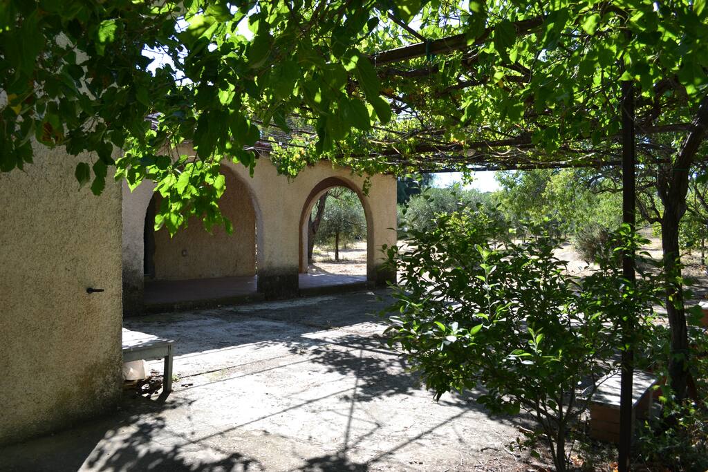 spazio esterno attrezzato con barbecue e pergola