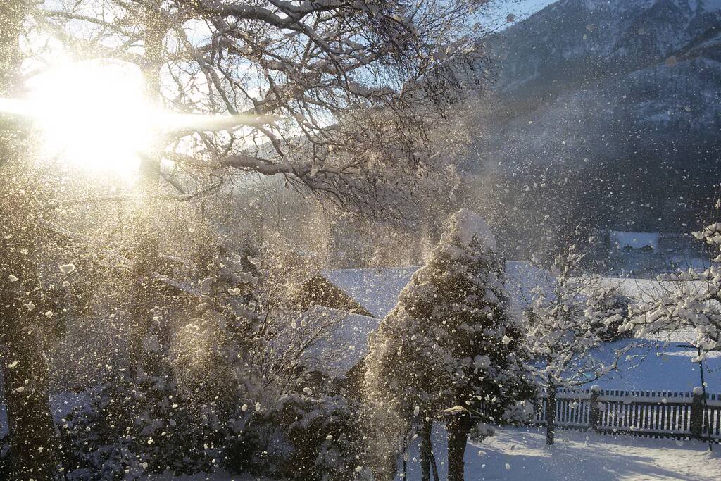 Wintersonne