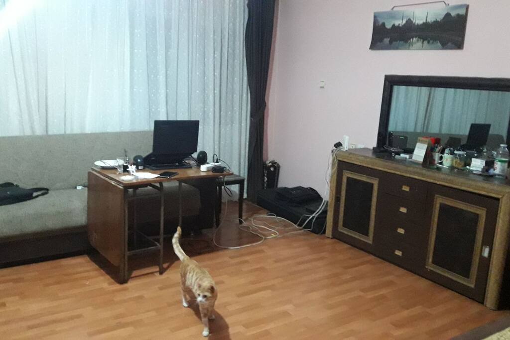 Salon / Living Room