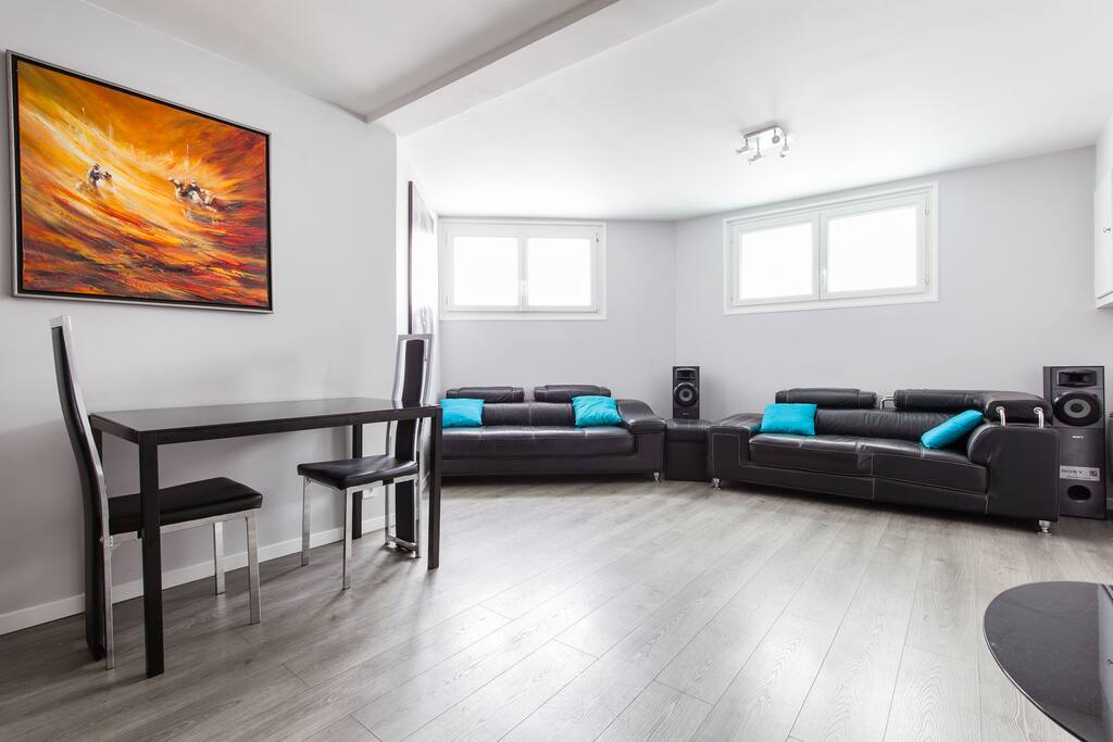 Living room / convertible sofa