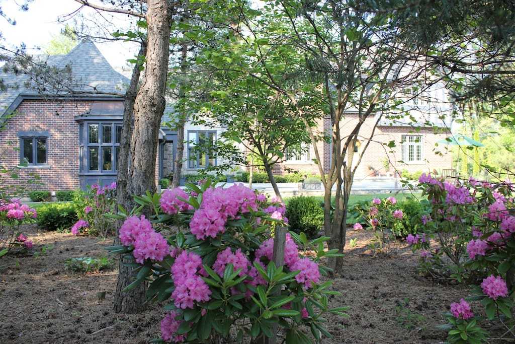 Cottage Style Near Fergus Elora Guest Suites For Rent In