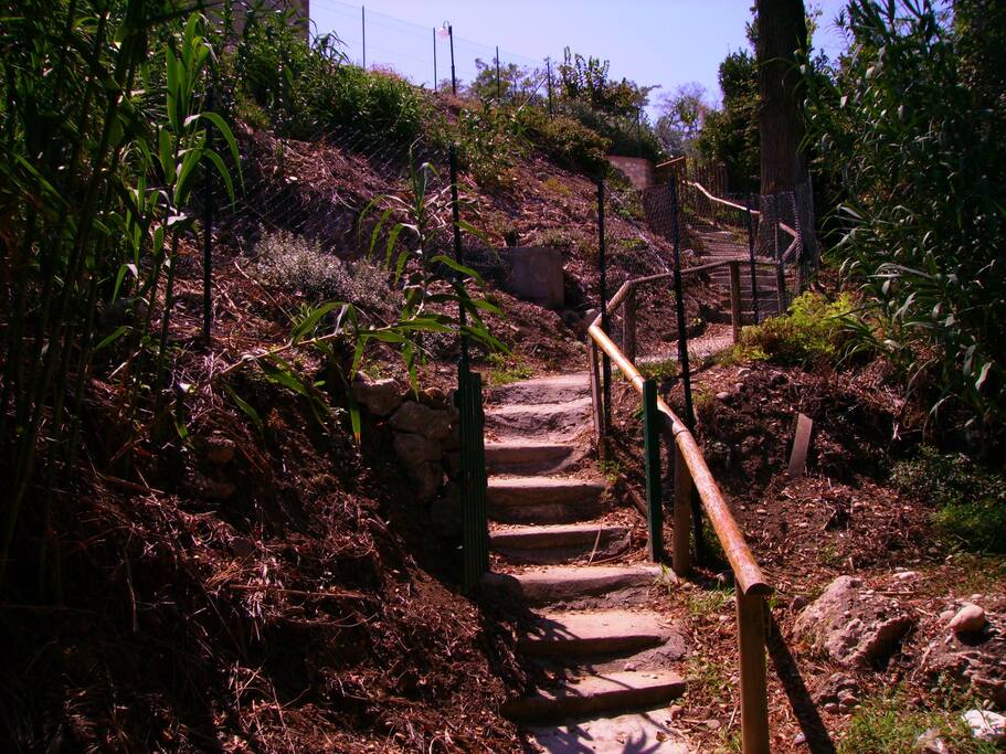 Scala di accesso al mare