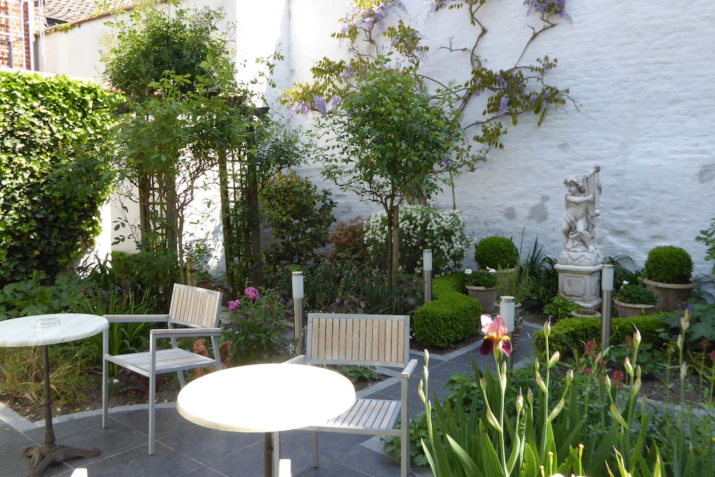Small garden to relax