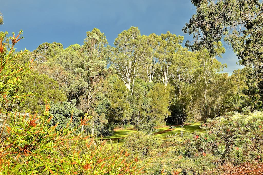 Neighbouring parklands