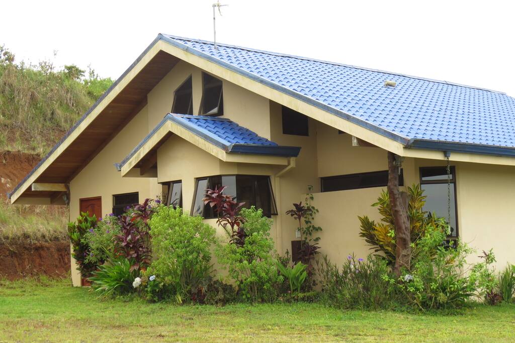 Tropical plants against rear of house.