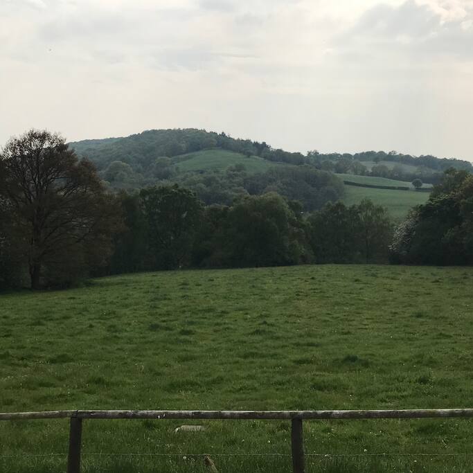 View from sitting room