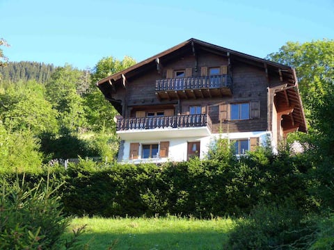Charming chalet in Leysin