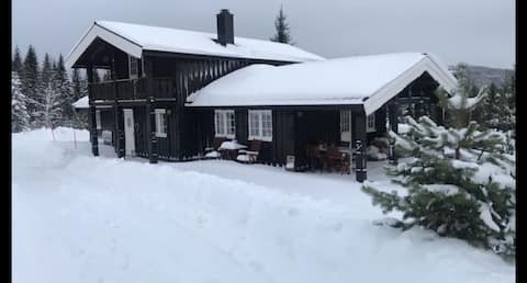 Large cottage Bjørgan, Grong. EV charger