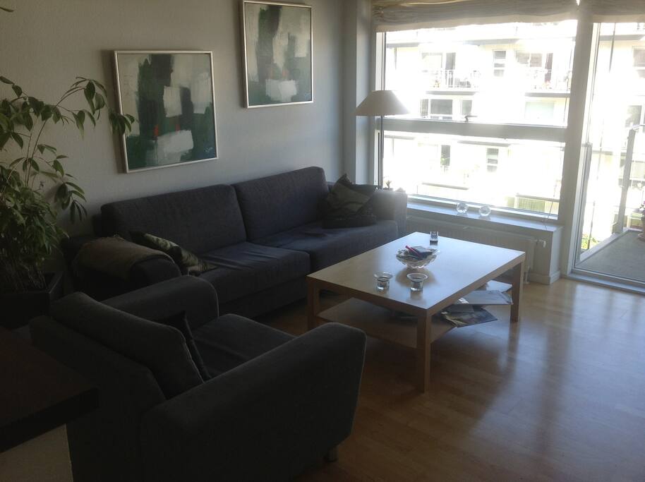 The open living and kitchen area in the apartment.