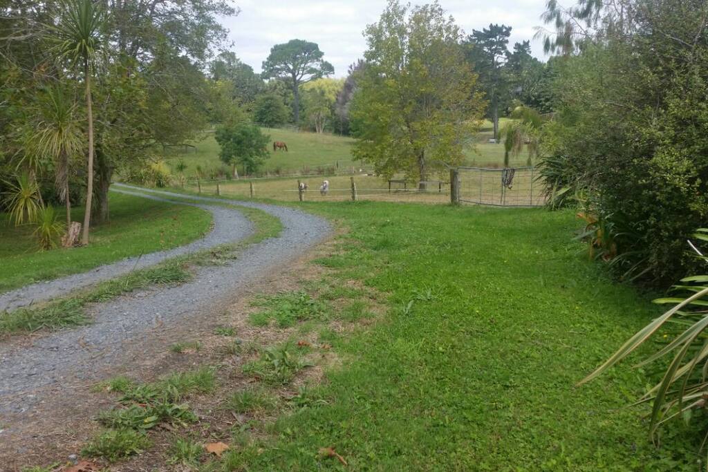 Long gravel driveway leading to the house.