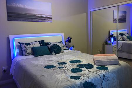 Downstairs room W/TV & private bath一层带独立卫生间