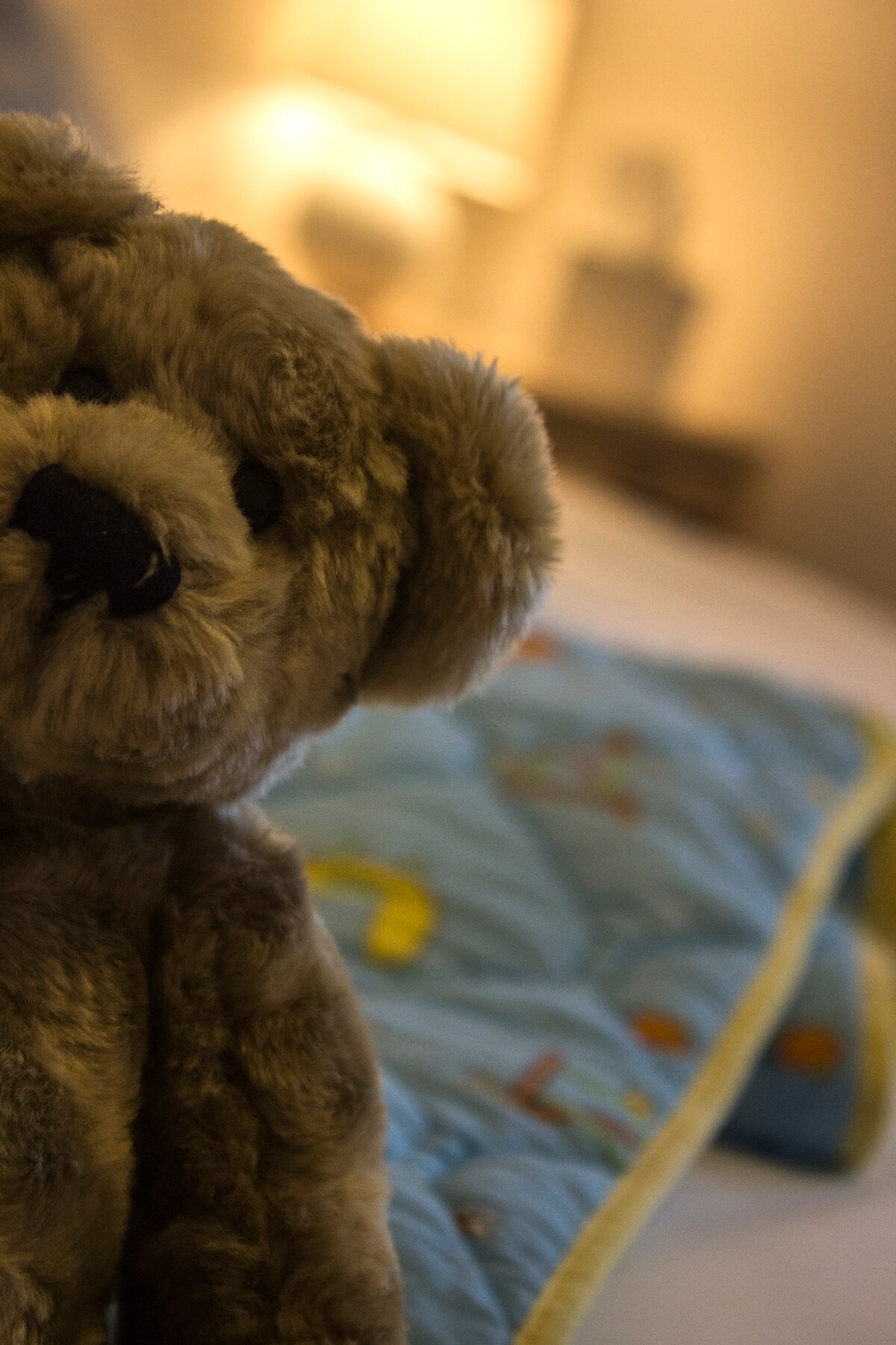 שלושת הדובים שלנו מחכים לקבל את פניכם.