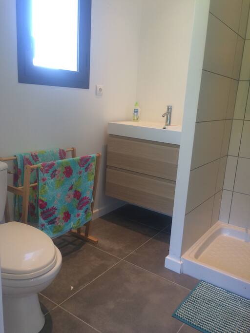 Salle de bain indépendante avec lavabo, douche et wc.