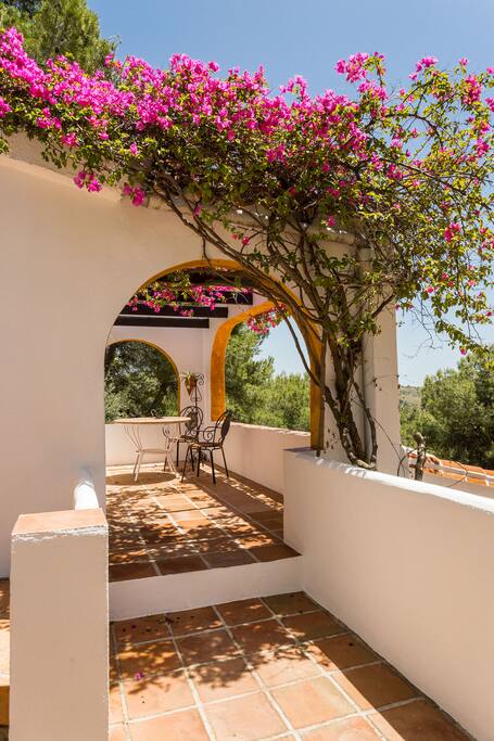 Stunning traditional Spanish fincas and terraces