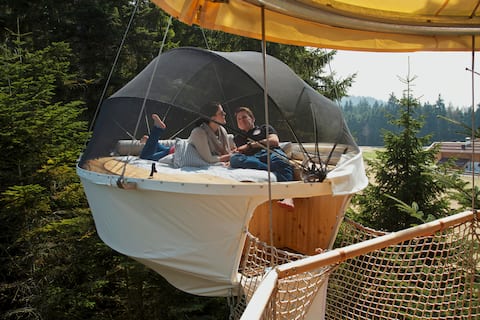 Klettern und Träumen in den Bäumen