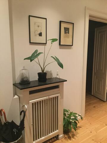 Charming 280m2 apartment: 6 guest. City gallery image 2