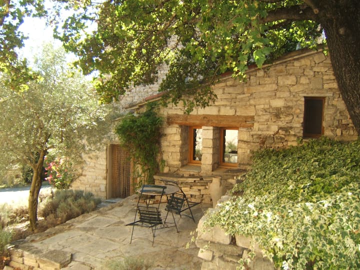 Charming Provencal cottage with pool access Houses for Rent in Revest