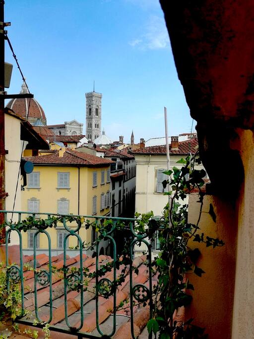 VIEW FROM THE TERRACE