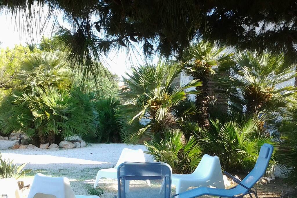 Giardino