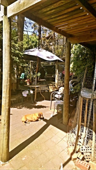 The HUT by fishpond is waaay downstairs ... out the back door into the yard