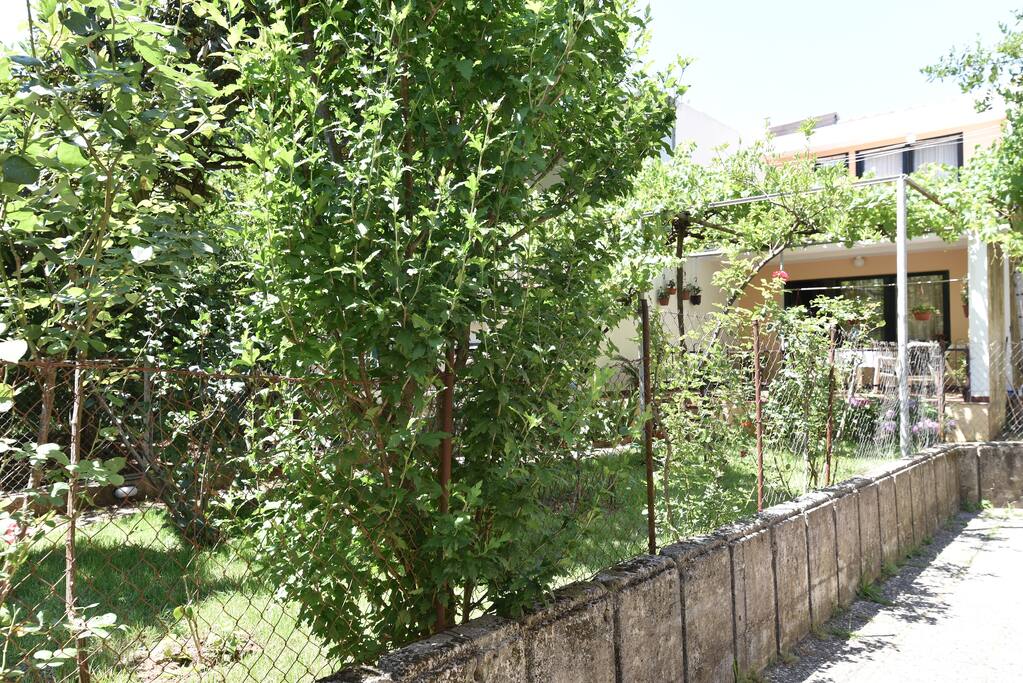 VIEW FROM THE PARKING TOWARDS THE GARDEN (FRONT OF THE HOUSE)