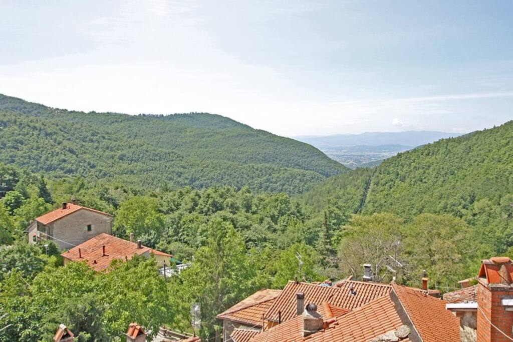 Top terrace view