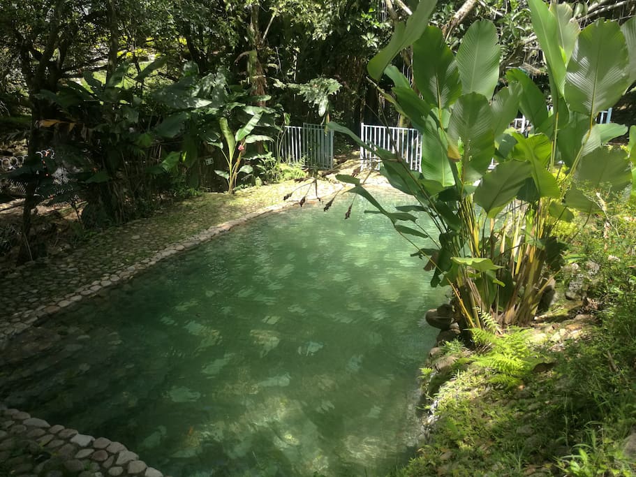Piscina agua natural
