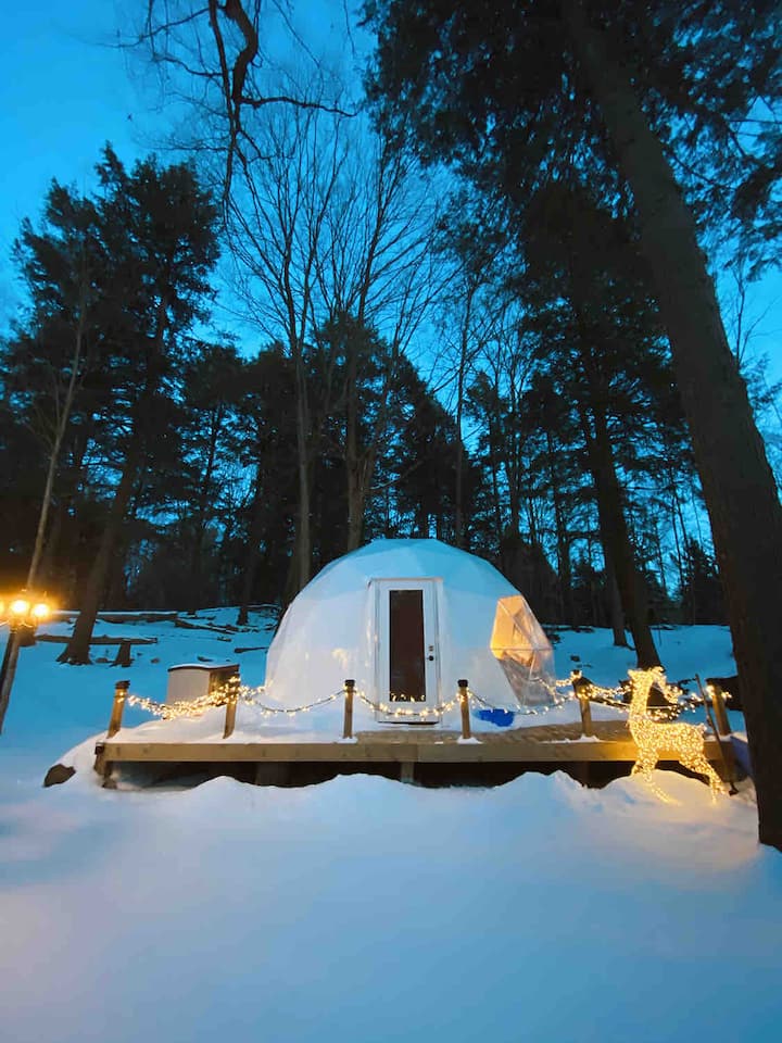 Glamping Skyview Tent In The Forest Dome Houses For Rent In King City Ontario Canada