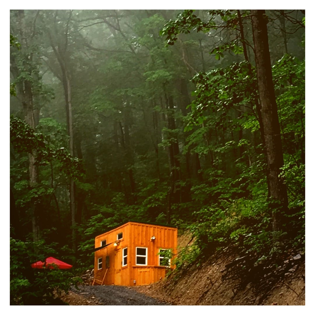 A rustic tiny cabin, constructed of warm wood, is nestled among tall, green trees in a fog-shrouded forest. A red umbrella can be seen nearby, adding a pop of color to the serene, natural surroundings.