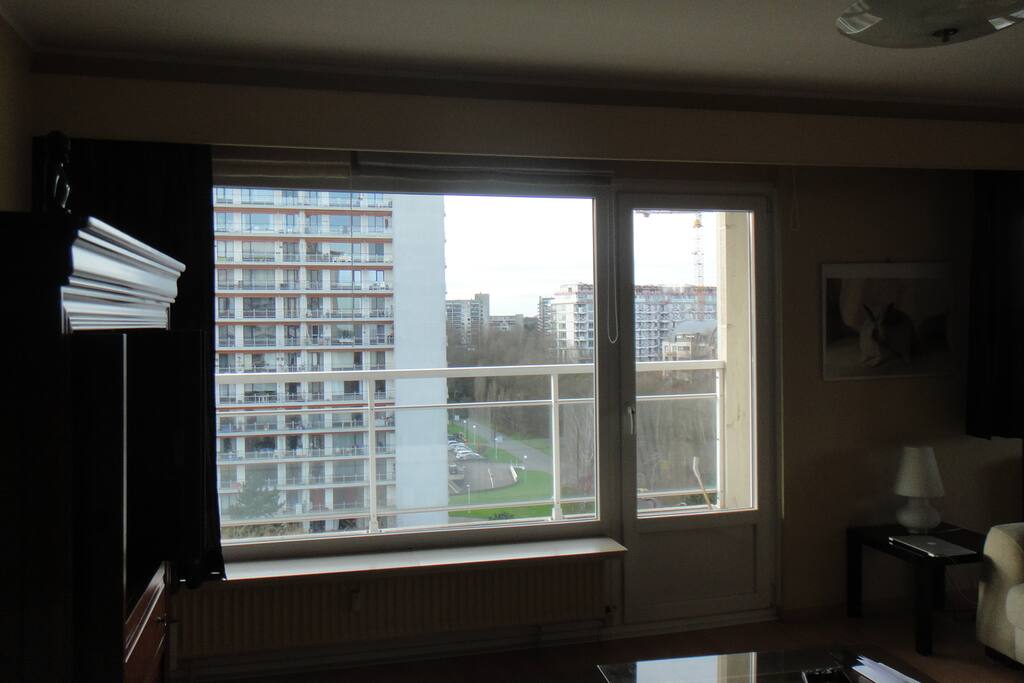 View from living room