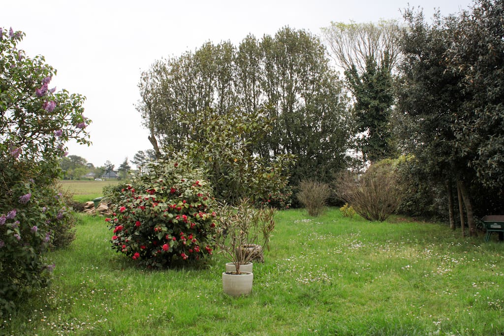 Jardin